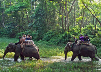 Chitwan Jungle Safari