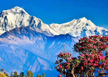Ghorepani Poon Hill Trekking