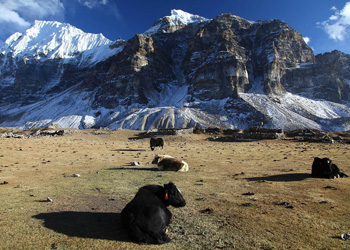 Manaslu