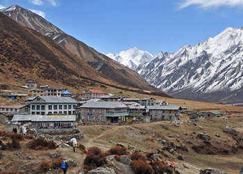 Langtang Valley Trekking