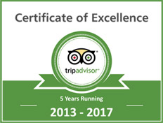 Trip Advisor